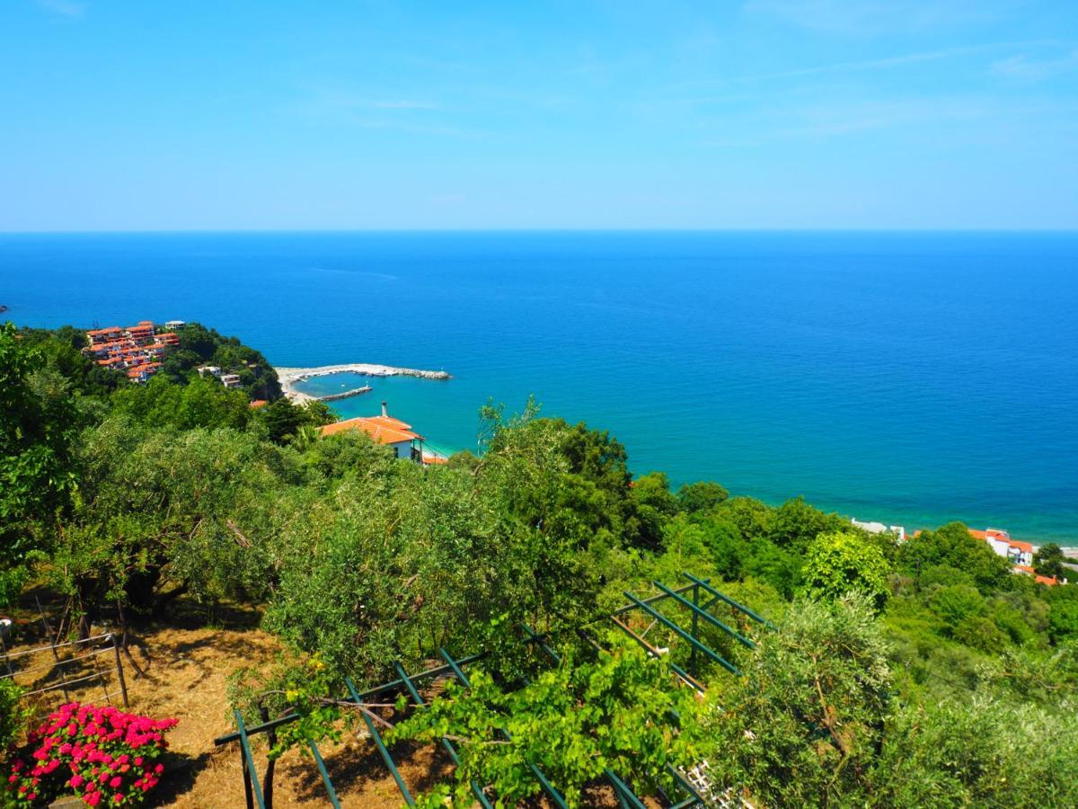 Felitsia Apartments & Studios Agios Ioannis  Exteriér fotografie