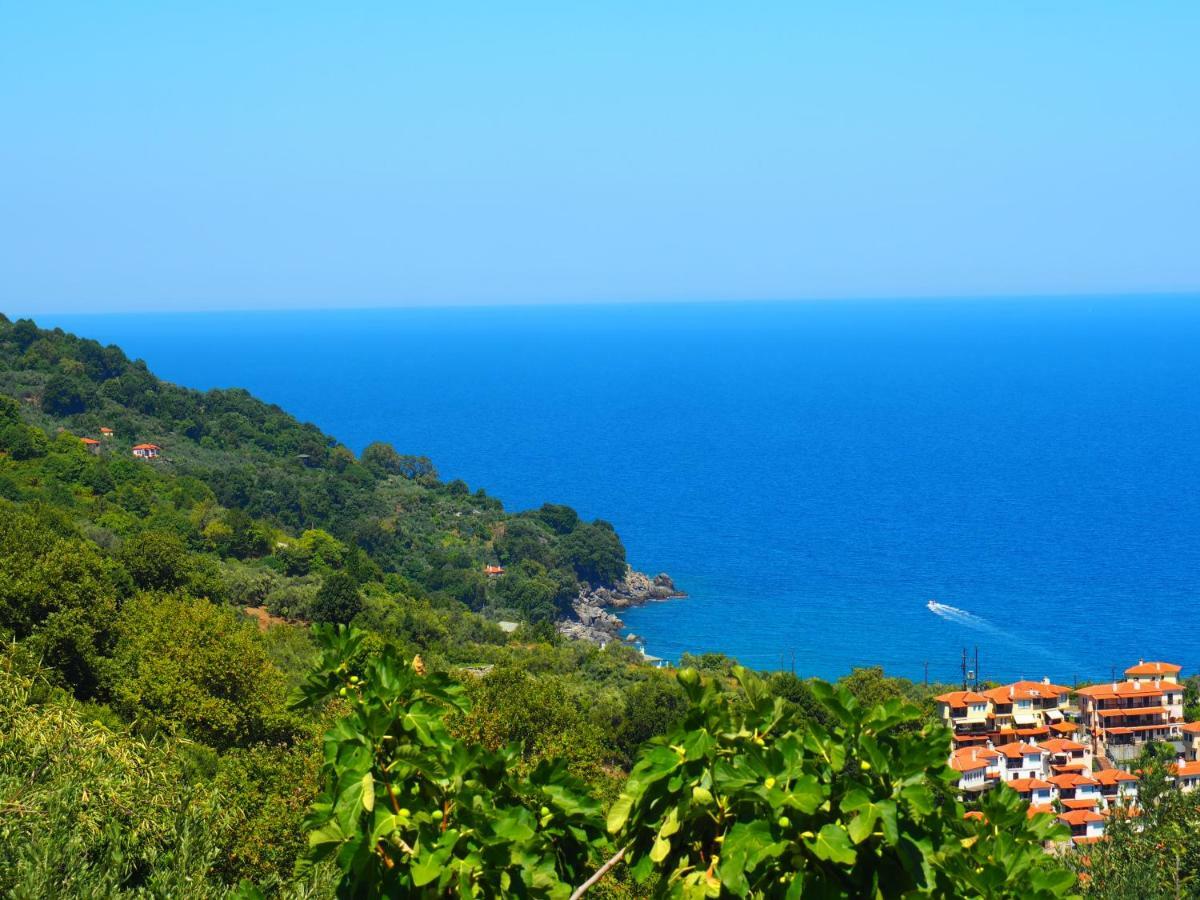 Felitsia Apartments & Studios Agios Ioannis  Exteriér fotografie