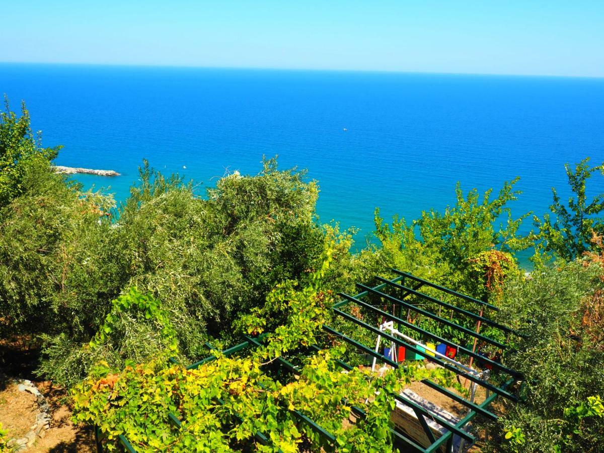 Felitsia Apartments & Studios Agios Ioannis  Exteriér fotografie